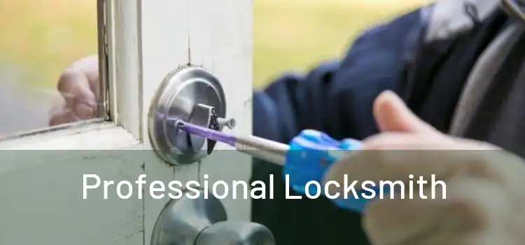  Professional Locksmith 